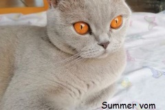 Summer-2J6M-20221016-2
