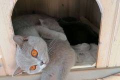 Summer_Unico-4Wo_20211218