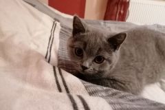 Urmel-Toby-14Wo