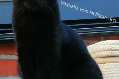 Viktualia-1J1Mon-2